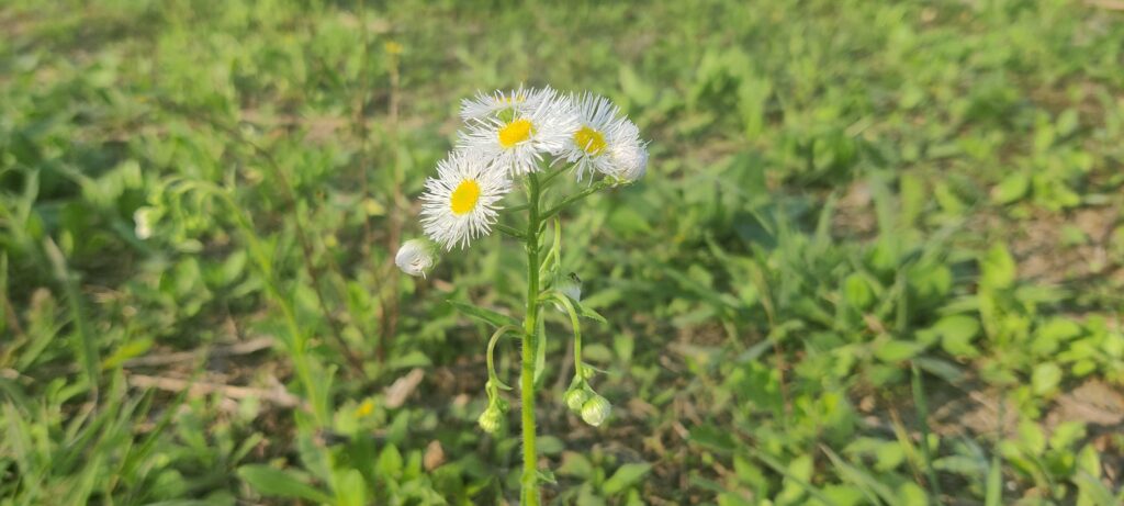分享一首以前写的诗